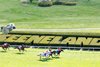 Buchu wins the Appalachian Stakes on Saturday, April 6, 2024 at Keeneland