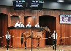  2024 OBS Spring 2-Year-Olds in Training Sale, Hip 891