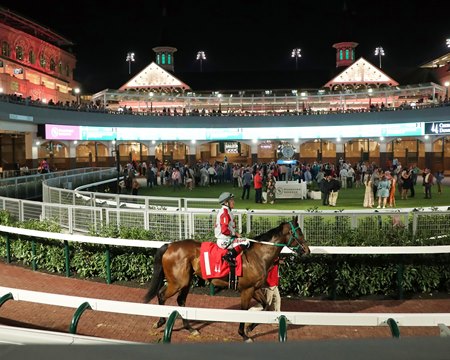 A horse walks the outside ring of the new paddock at Churchill Downs