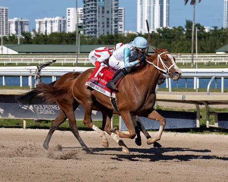 Power Squeeze wins the Gulfstream Oaks at Gulfstream Park