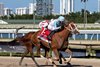 Power Squeeze wins the 2024 Gulfstream Park Oaks at Gulfstream Park