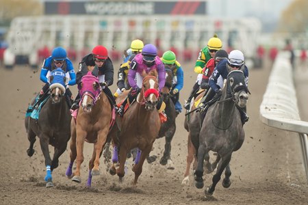 Racing at Woodbine