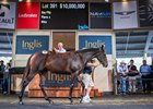 Lot 391, the Pierro x Winx filly of Coolmore Australia, sells for AUS$10 million at Riverside on Monday, April 8, 2024 for the Inglis Easter Yearling Sale