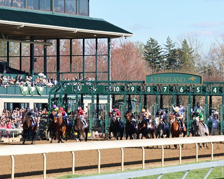 The field breaks from the gate in the 2024 Blue Grass Stakes at Keeneland