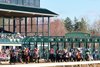 Sierra Leone wins the Blue Grass Stakes on Saturday, April 6, 2024 at Keeneland