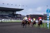 The winner Pont Neuf (Charles Bishop) leads all the way when landing the 5f novice stakes
Kempton 1.4.24 Pic: Edward Whitaker