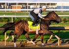 Honor Marie (outside) working with Agoo
Morning training at Churchill Downs on April 25, 2024. . 

