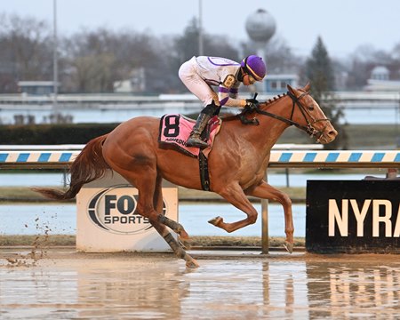 Society Man winning a maiden special weight in March at Aqueduct Racetrack