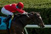 Buchu and Martin Garcia win the G2 Appalachian Stakes, Keeneland Racetrack, Lexington, KY, 4-5-24, Mathea Kelley
