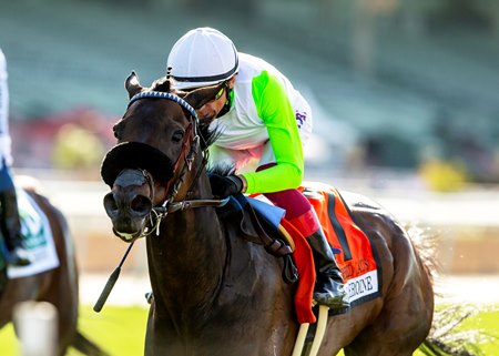 Uncorked wins the Royal Heroine Stakes at Santa Anita Park
