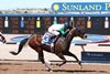 Alotaluck wins the 2024 Mine That Bird Derby at Sunland Park