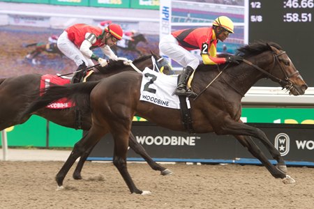 Midnight Mascot wins the Woodstock Stakes at Woodbine
