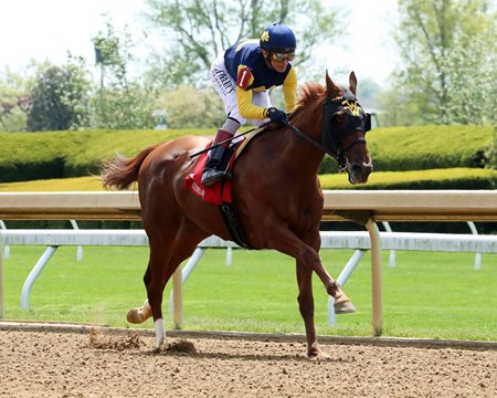 Ultima Grace wins on debut April 18 at Keeneland