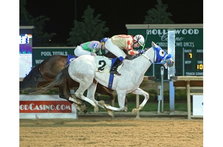 Espresso Horse Profile BloodHorse Espresso Horse Profile BloodHorse