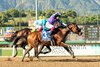 Stronghold and jockey Antonio Fresu, outside, overpower Imagination (Lanfranco Dettori), inside, to win the Grade I, $750,000 Santa Anita Derby, Saturday, April 6, 2024 at Santa Anita Park, Arcadia CA.
&#169; BENOIT PHOTO