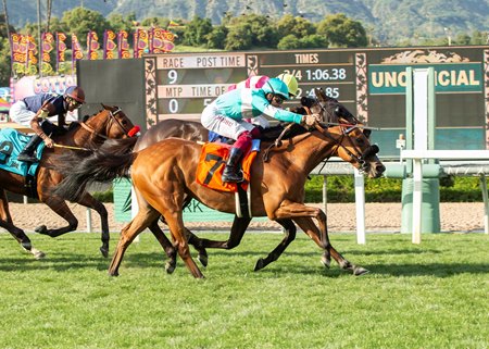 Laulne (outside) noses out Alluring in Angels Flight Stakes at Santa Anita Park
