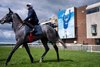 Fallen Angel  (Danny Tudhope) head out for her racecourse gallop
Newmarket 17.4.24 Pic: Edward Whitaker