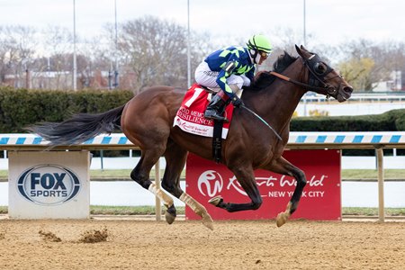 Resilience wins the Wood Memorial at Aqueduct Racetrack