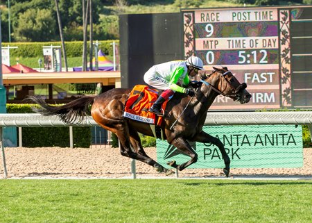 Uncorked wins the Royal Heroine Stakes at Santa Anita Park