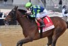 Resilience wins the 2024 Wood Memorial Stakes at Aqueduct