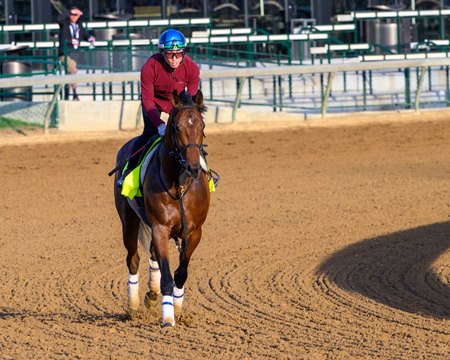T O Password trains ahead of the Kentucky Derby at Churchill Downs