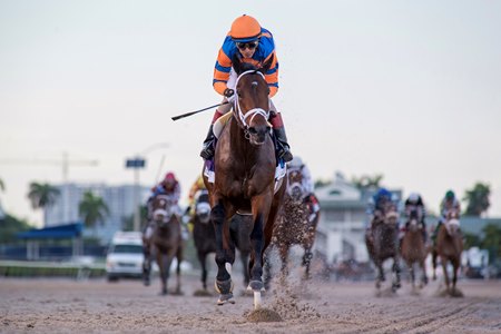 Fierceness wins the Florida Derby at Gulfstream Park