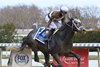 Post Time wins the 2024 Carter Handicap at Aqueduct