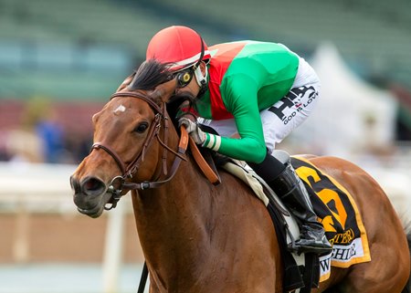 Nadette wins the Wilshire Stakes at Santa Anita Park