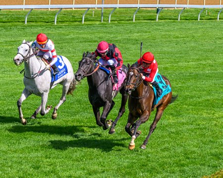 (R-L) Buchu holds off Mo Fox Givin and Dancing N Dixie in the Appalachian Stakes at Keeneland