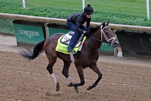Fierceness gallops April 30 after breezing flawlessly four days earlier at Churchill Downs