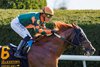 Arzak (Not This Time - Delightful Melody by Tapit) wins the G2 Shakertown Stakes with jockey Irad Ortiz, Jr. by 1 length over Mischief Magic.