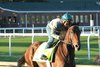 Resilience gallops at Churchill Downs