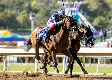 Stronghold wins the 2024 Santa Anita Derby at Santa Anita Park