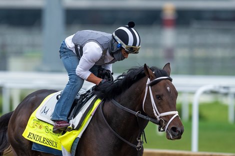 Endlessly Finally Returns to Turf in Belmont Derby