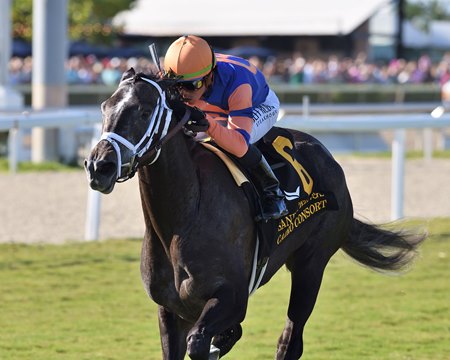 Cairo Consort wins the Sand Springs Stakes at Gulfstream Park