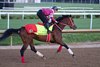 Forever Young breezes at Churchill Downs