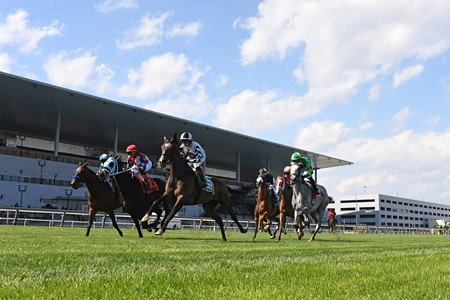 Horses race on turf at Aqueduct Racetrack
