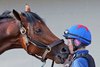 Sophie Doyle gives Epic Ride a kiss at Churchill Downs on April 28, 2024. Photo By: Chad B. Harmon