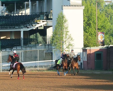 Stronghold jogs at Churchill Downs