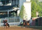 Stronghold - Morning - Churchill Downs - 04-24-24
