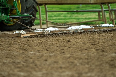 New harrows are being used on the Churchill Downs main track this year