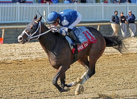 Copper Tax wins the Federico Tesio Stakes at Laurel Park