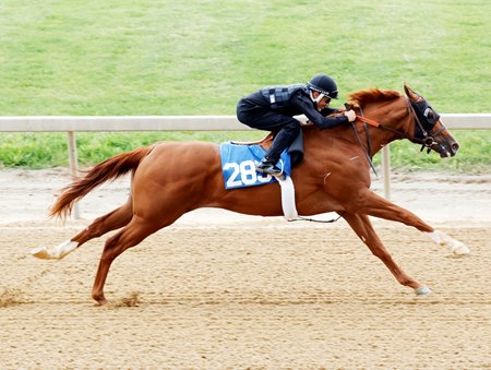 The Vekoma colt consigned as Hip 285 works one furlong in :09 4/5 May 16 at the Fasig-Tipton Midlantic May Sale