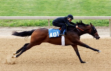 The Bolt d'Oro filly consigned as Hip 401 works one furlong in :10 at the Fasig-Tipton Midlantic May Sale