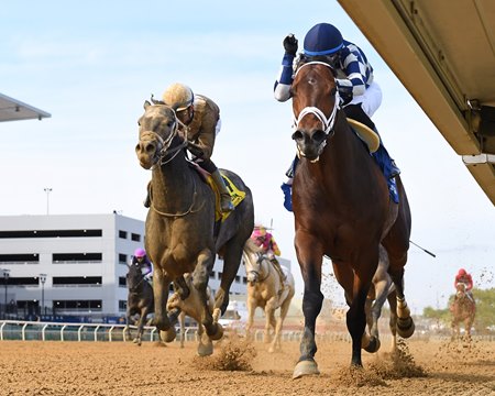 Messier wins the Westchester Stakes at Aqueduct Racetrack