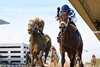 Messier wins the 2024 Westchester Stakes at Aqueduct