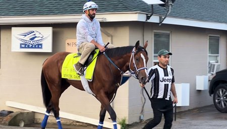 Groom Oswaldo Rafael Hernandez accompanies Mystik Dan, under retired jockey Robby Albarado, as the colt heads out for morning training May 9 at Churchill Downs