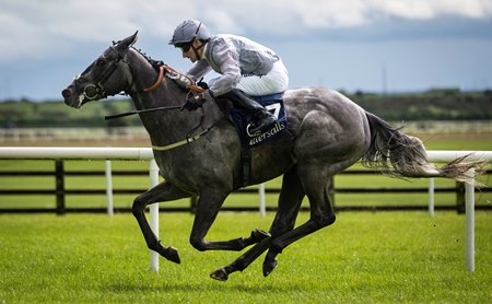 Fallen Angel wins the 2024 Irish One Thousand Guineas a the Curragh