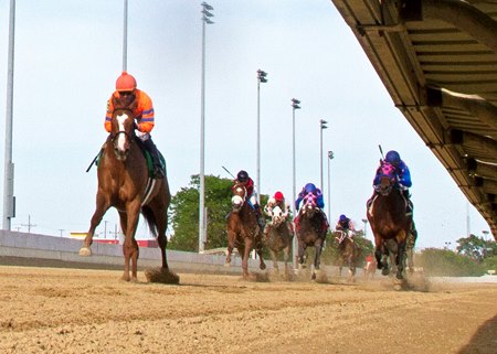 Racing at Hawthorne Race Course