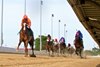 Oeuvre wins the 2024 Third Chance Handicap at Hawthorne